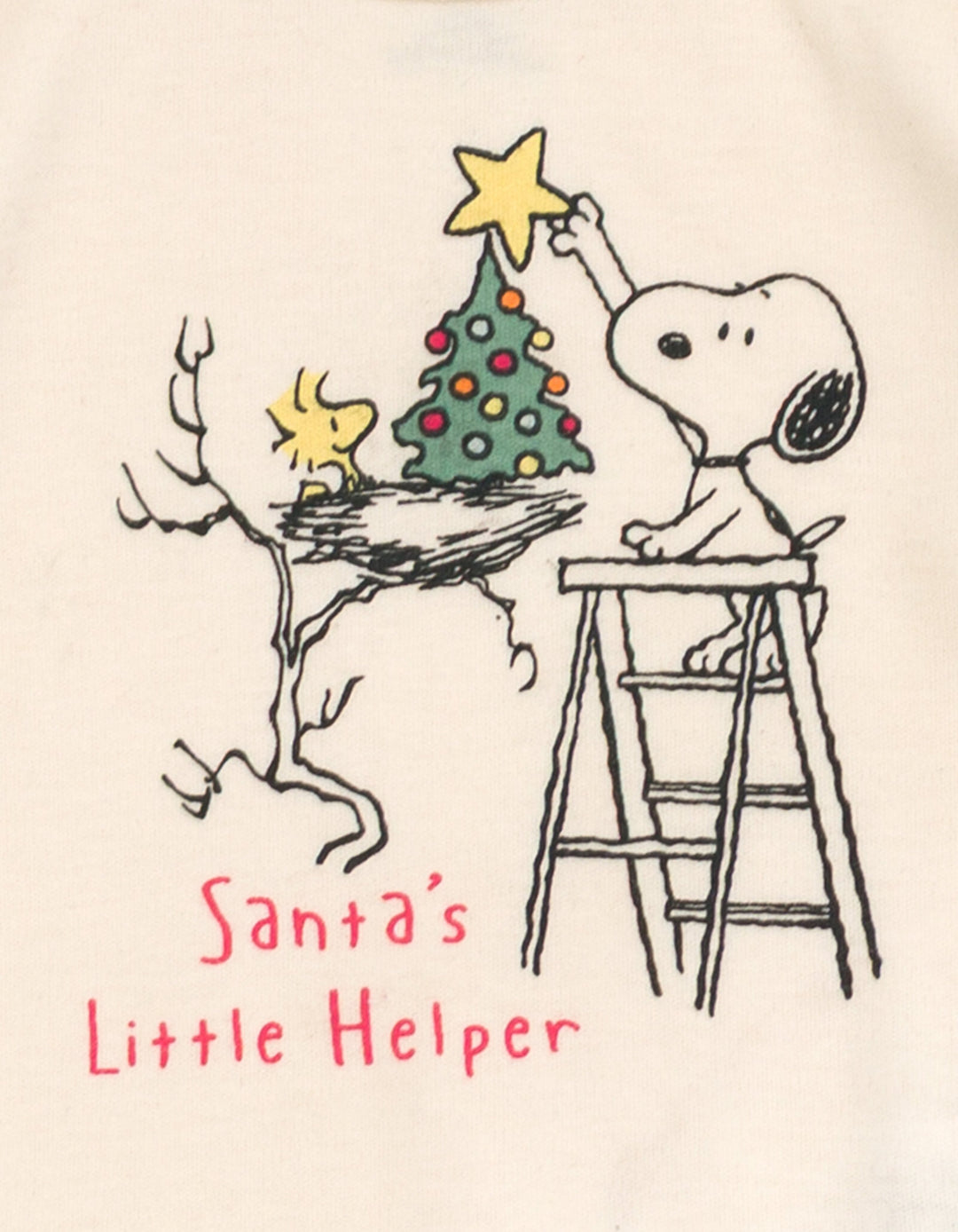 6_284934_a53294b1-e8e9-42fd-b180-52858036132a