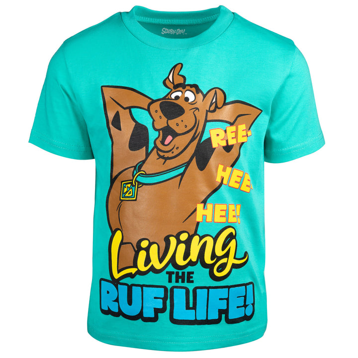 Scooby-Doo Scooby Doo T-Shirt and Mesh Shorts Outfit Set