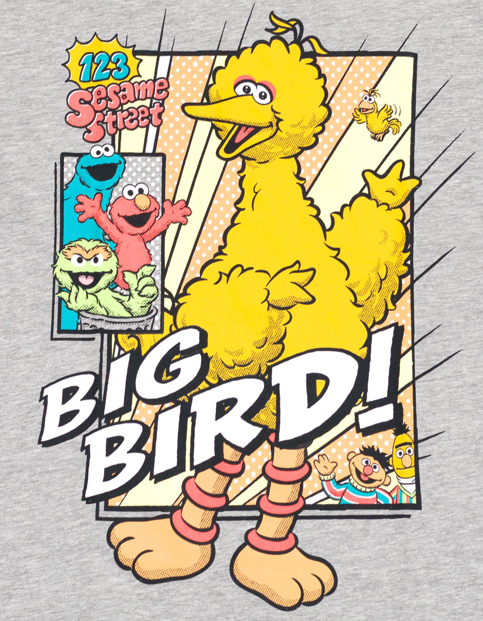 Sesame Street Big Bird Adult T-Shirt | FREE Shipping on Orders $50