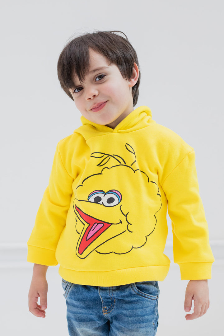 Sesame Street Big Bird Fleece Pullover Hoodie