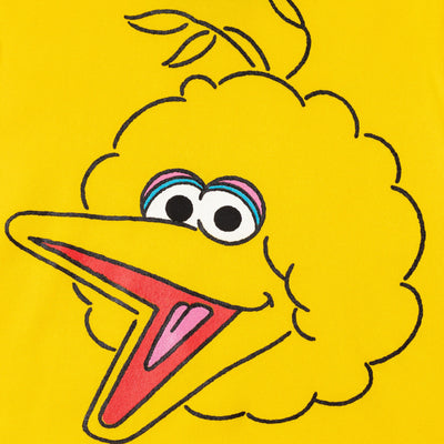 Sesame Street Big Bird Fleece Pullover Hoodie