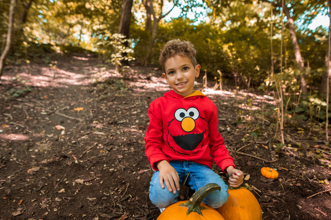 Sesame Street Elmo Fleece Pullover Hoodie