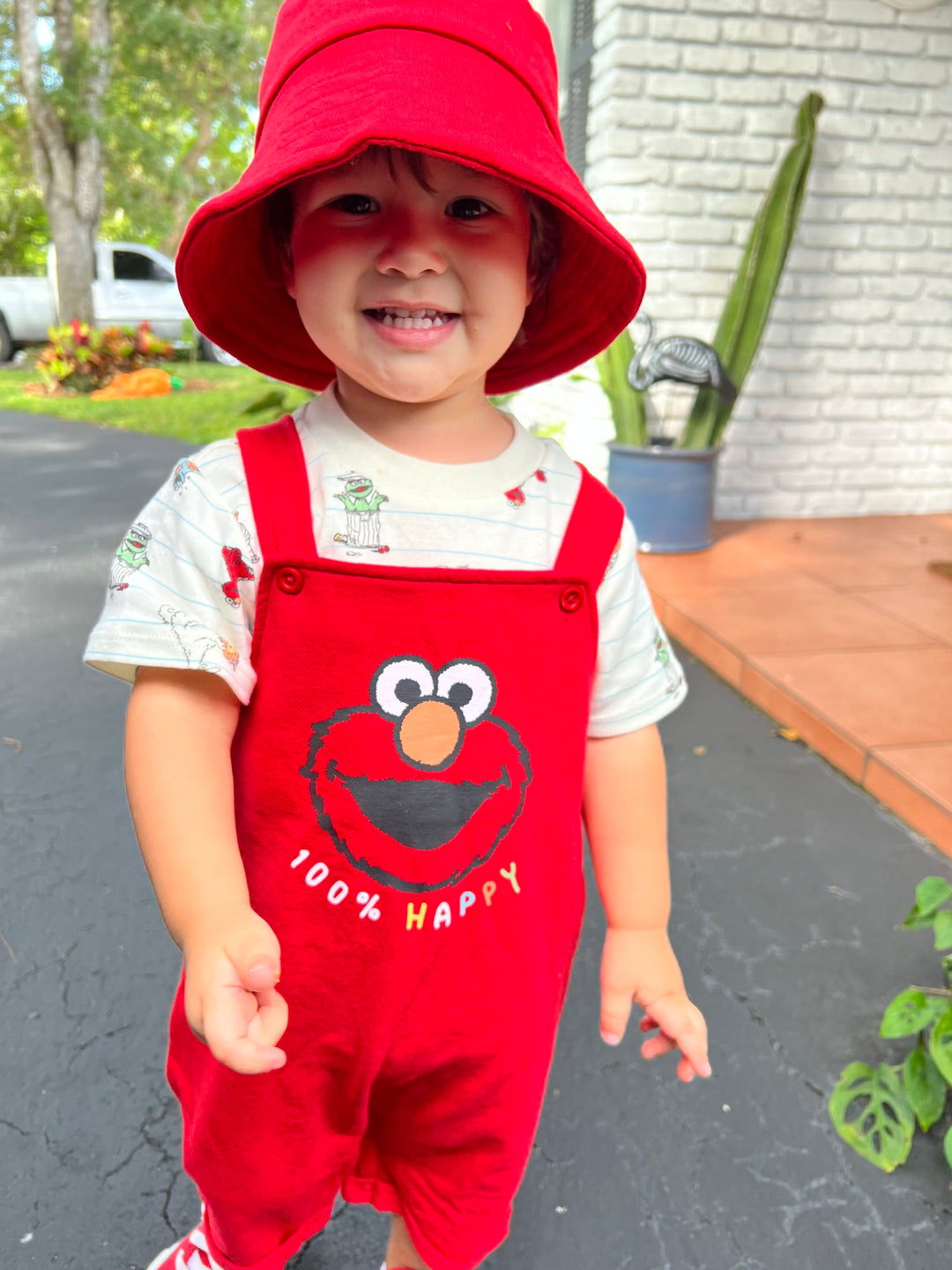 Sesame Street Elmo Short Overalls & Short Sleeve T-Shirt & Hat