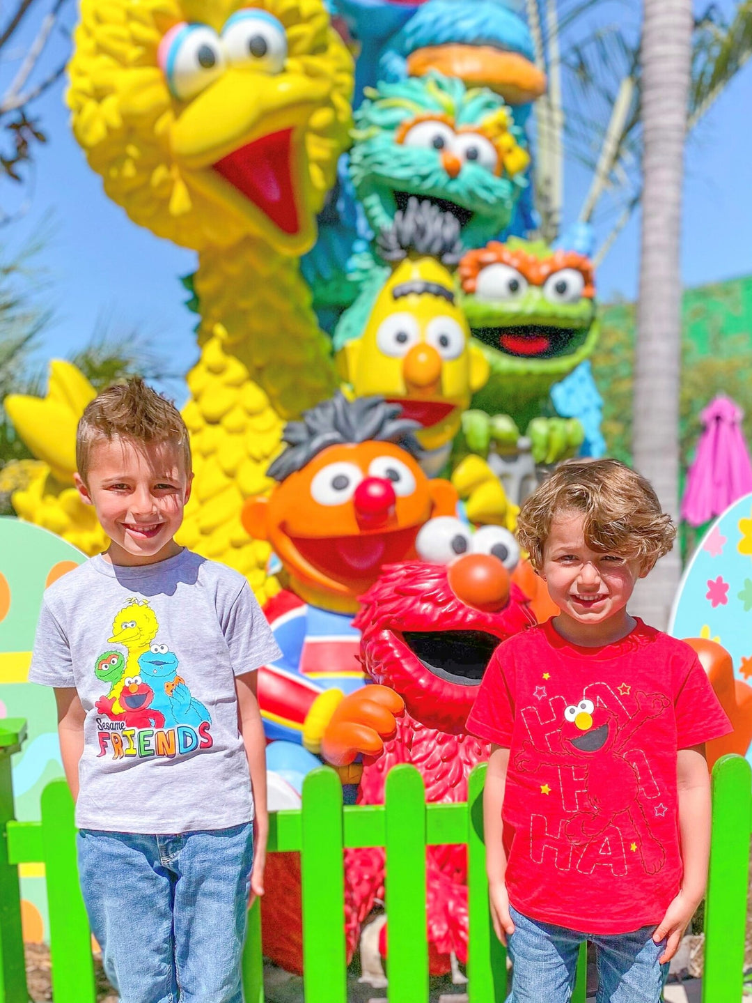 Sesame Street Metallic Print T-Shirts and Book Set