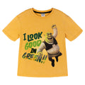 Shrek Drop Shoulder T-Shirt