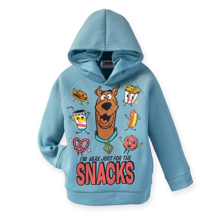 Warner Bros. Scooby Doo Fleece Hoodie and Pants Outfit Set - imagikids