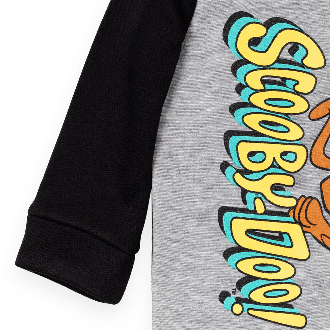 Warner Bros. Scooby Doo Fleece Half Zip Hoodie