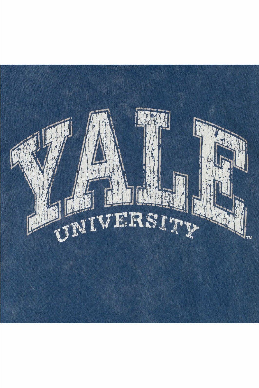 Yale University 2 Pack Graphic T-Shirts - imagikids