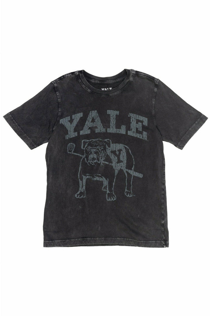 Yale University 2 Pack Graphic T-Shirts - imagikids