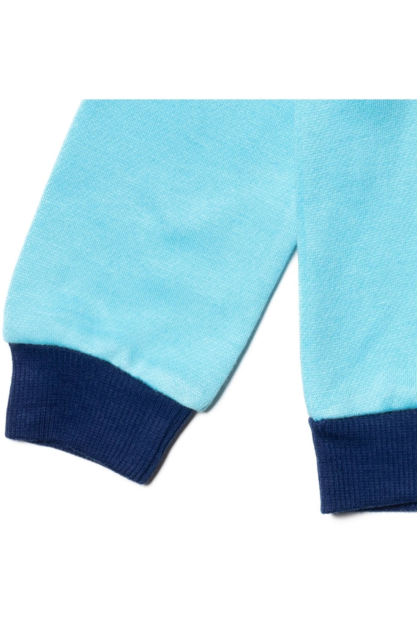 Blue's Clues & You! Baby Fleece Pullover Sweatshirt Infant to Toddler - imagikids