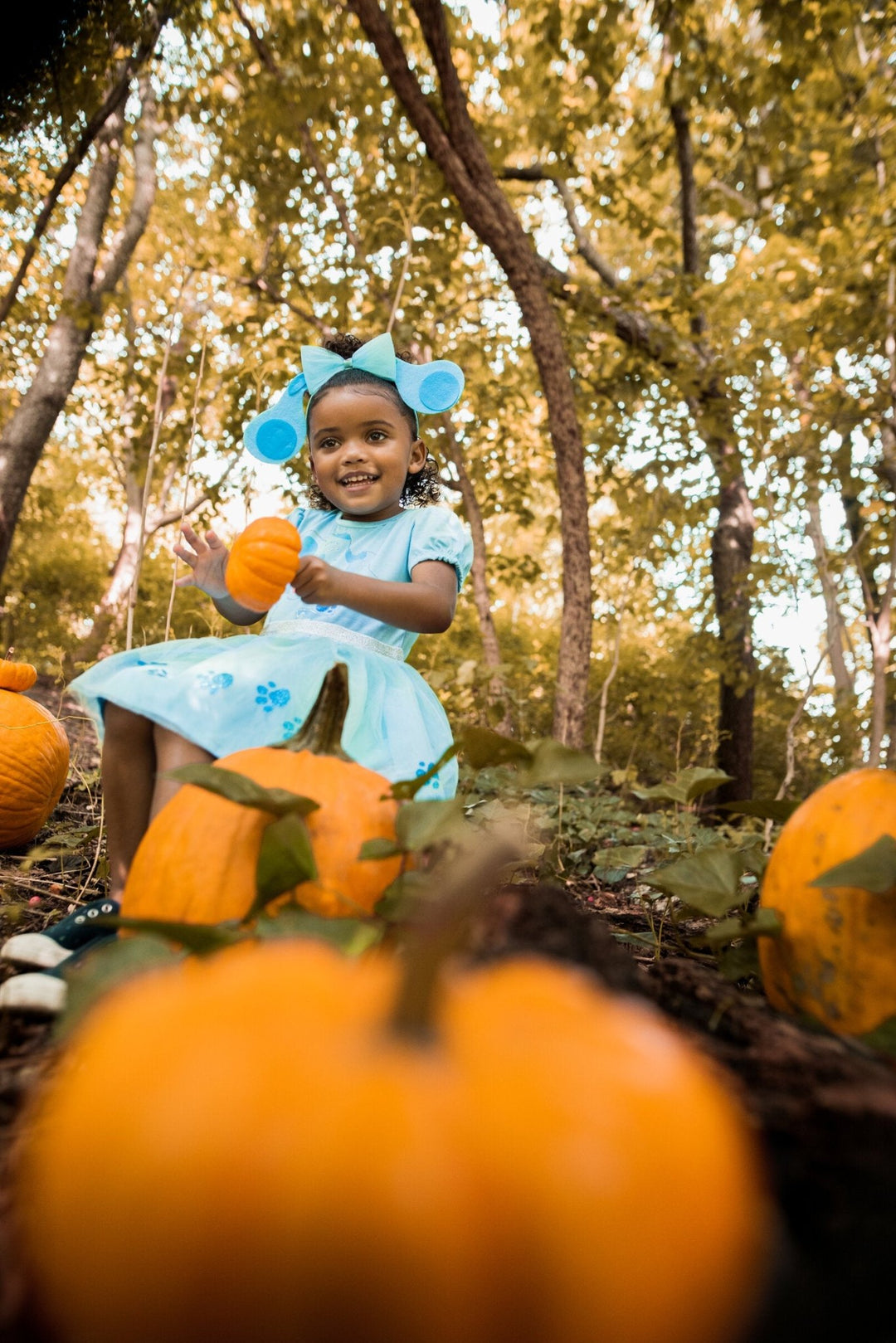 Blue's Clues & You! Costume Dress and Headband - imagikids