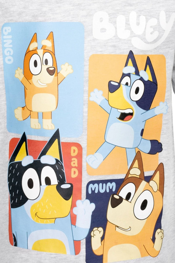 Bluey 2 Pack T-Shirts - imagikids