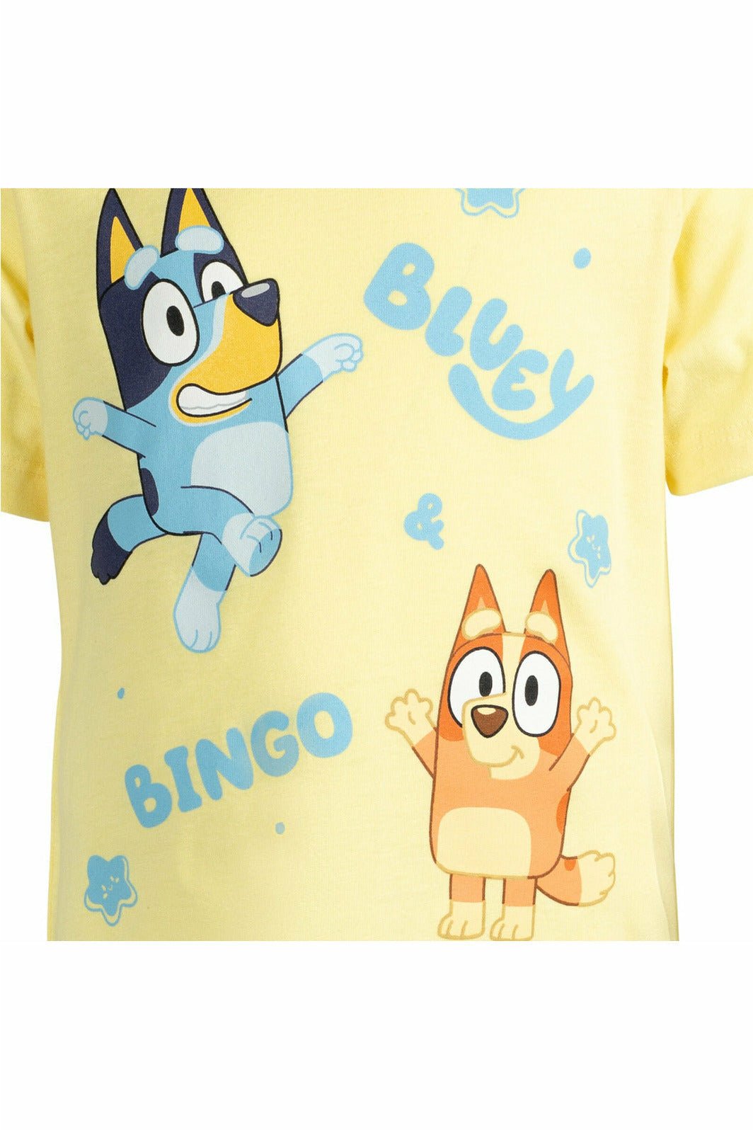 Bluey Bingo Boys Graphic T-Shirt Light Blue