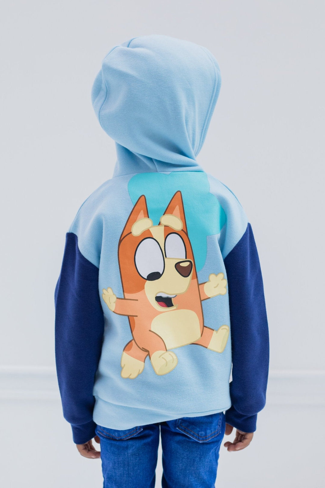 Bluey Fleece Pullover Hoodie - imagikids