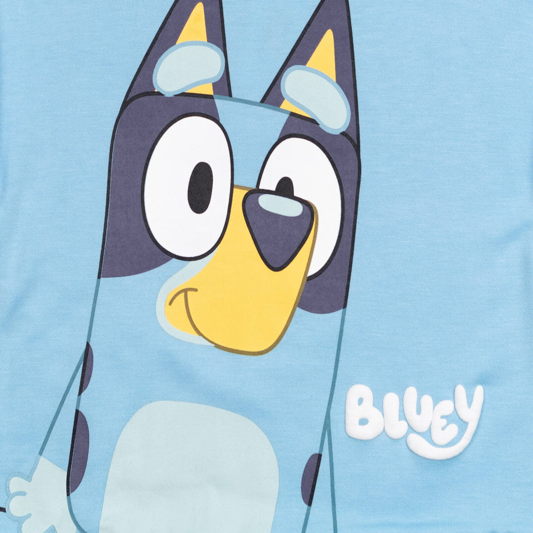 Bluey Hoodie and Pants Outfit Set - imagikids