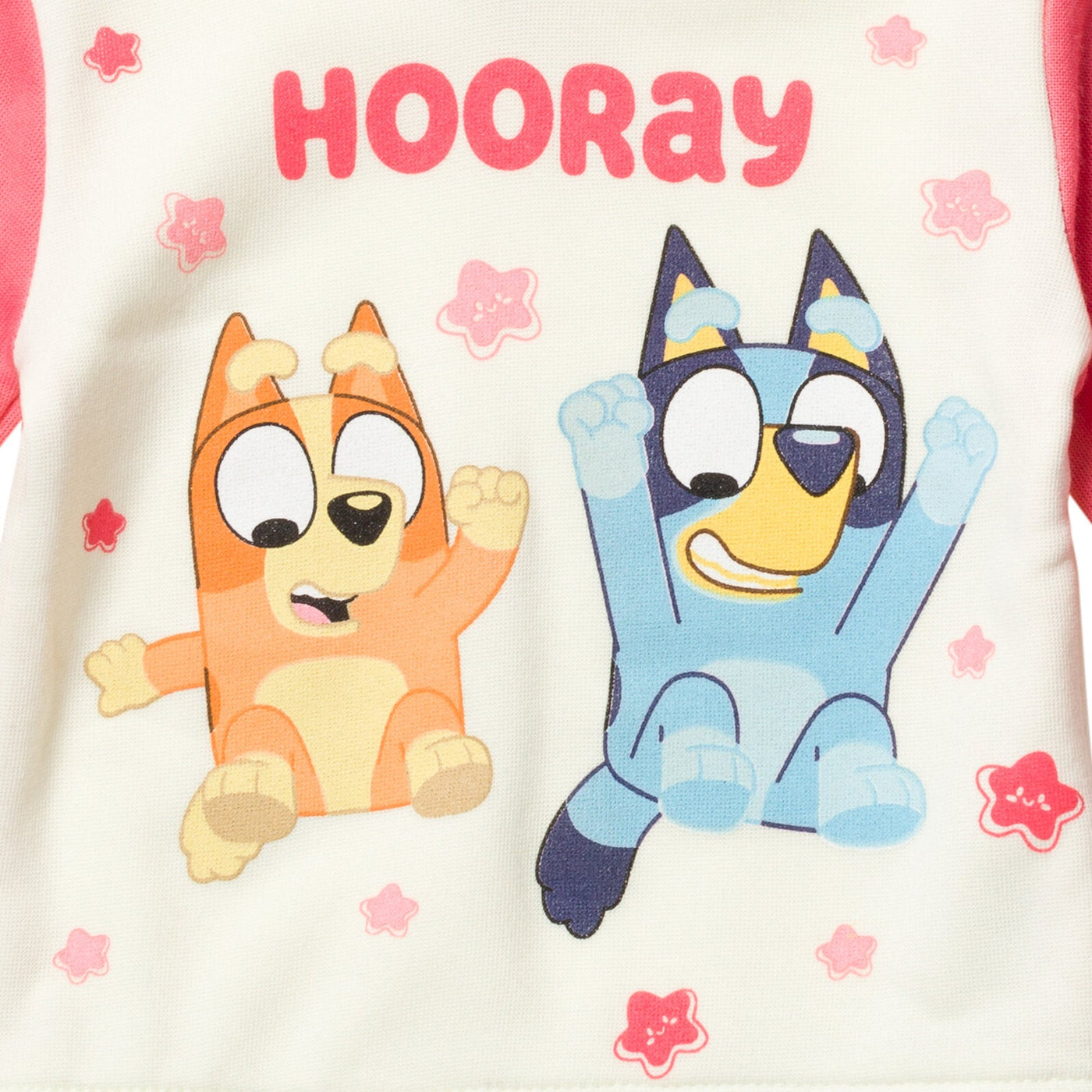 Bluey Pullover Hoodie and Fleece Pants Outfit Set - imagikids
