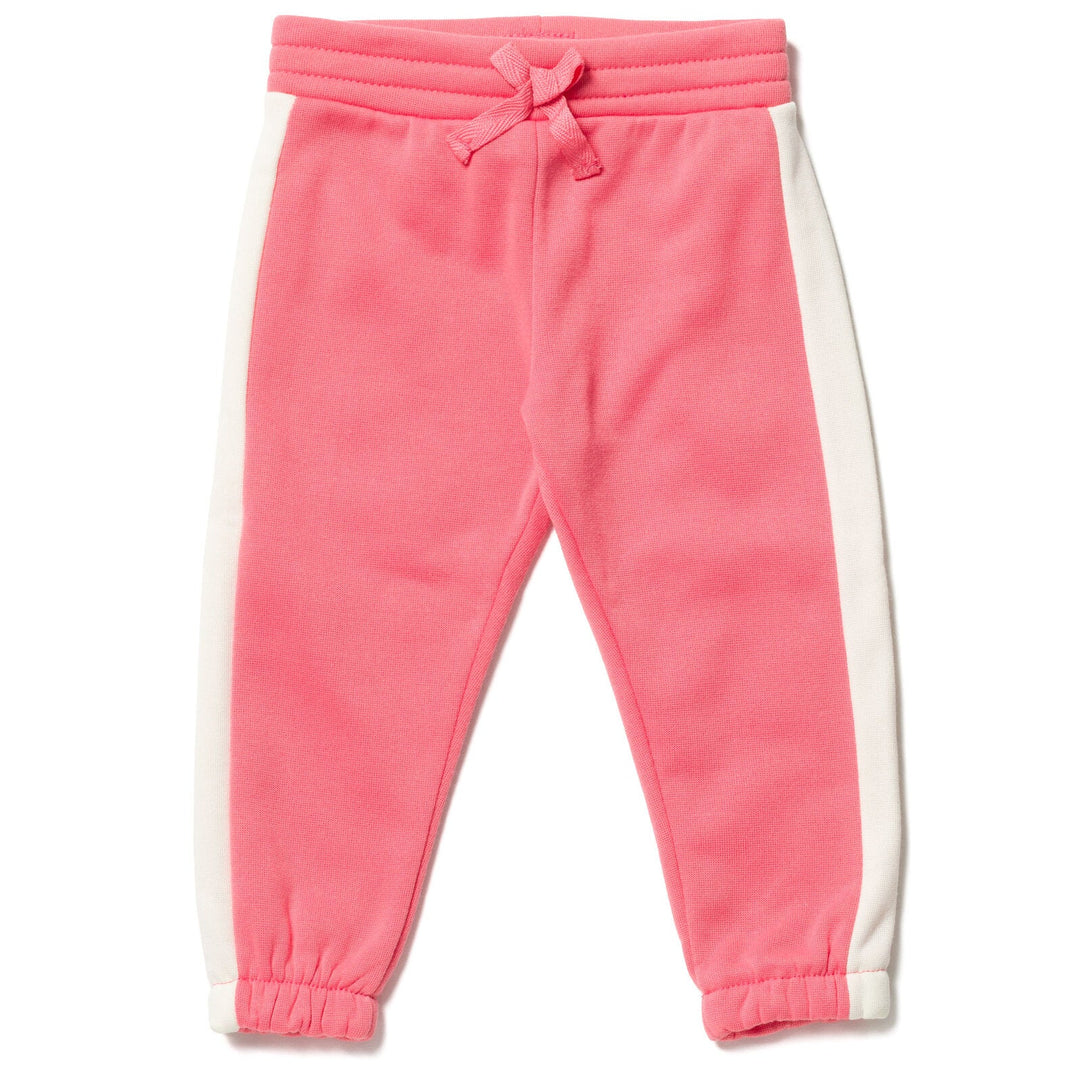 Bluey Pullover Hoodie and Fleece Pants Outfit Set - imagikids