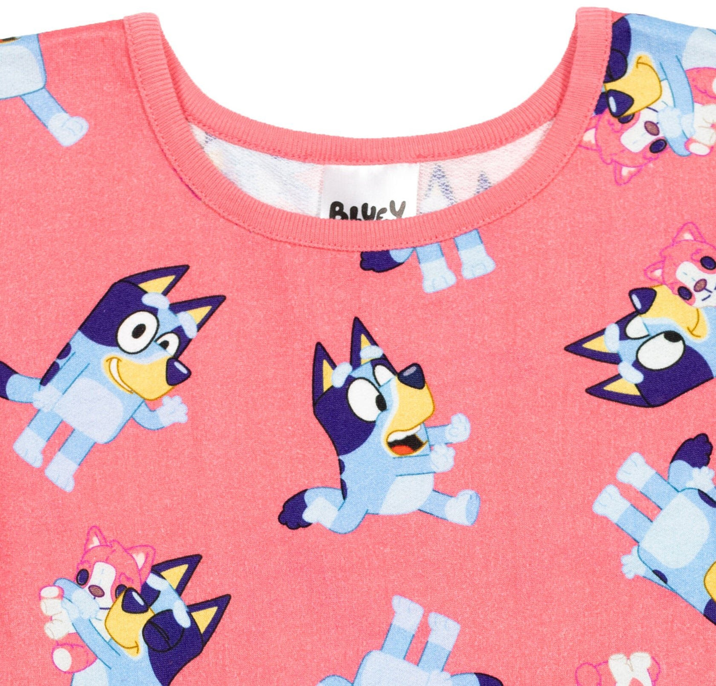 Bluey Skater Dress and Scrunchie | imagikids Baby and Kids Clothing