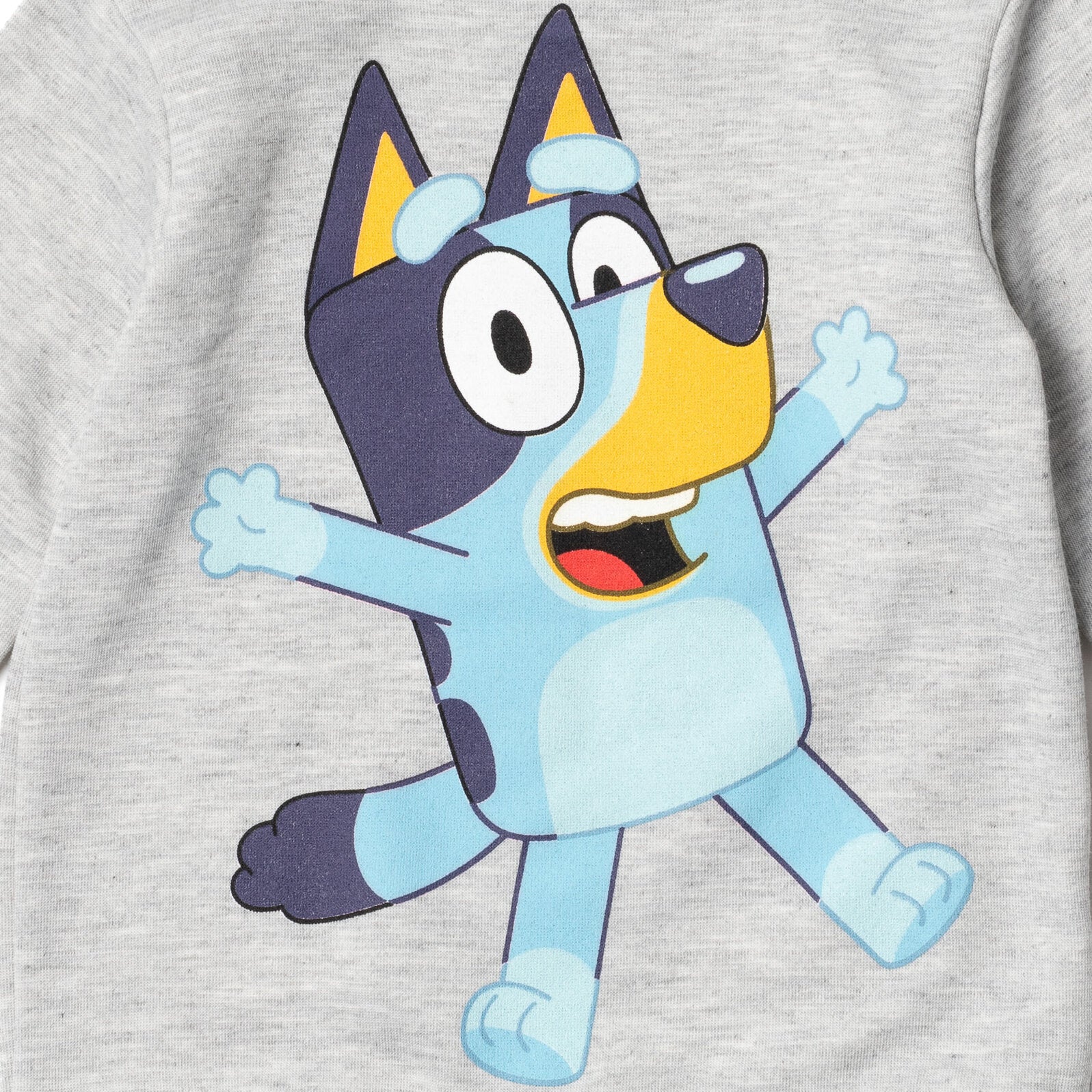 Bluey Outfit Bingo Boys Clothing Sets 2 Piece Kazakhstan