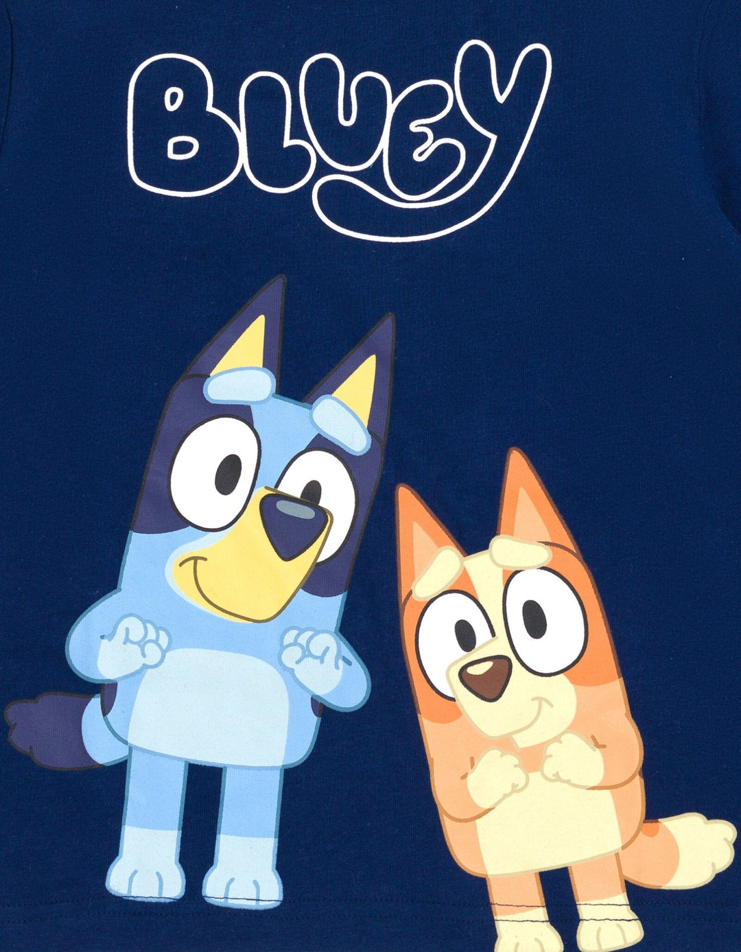 Bluey T-Shirt and Athletic Mesh Shorts Outfit Set - imagikids