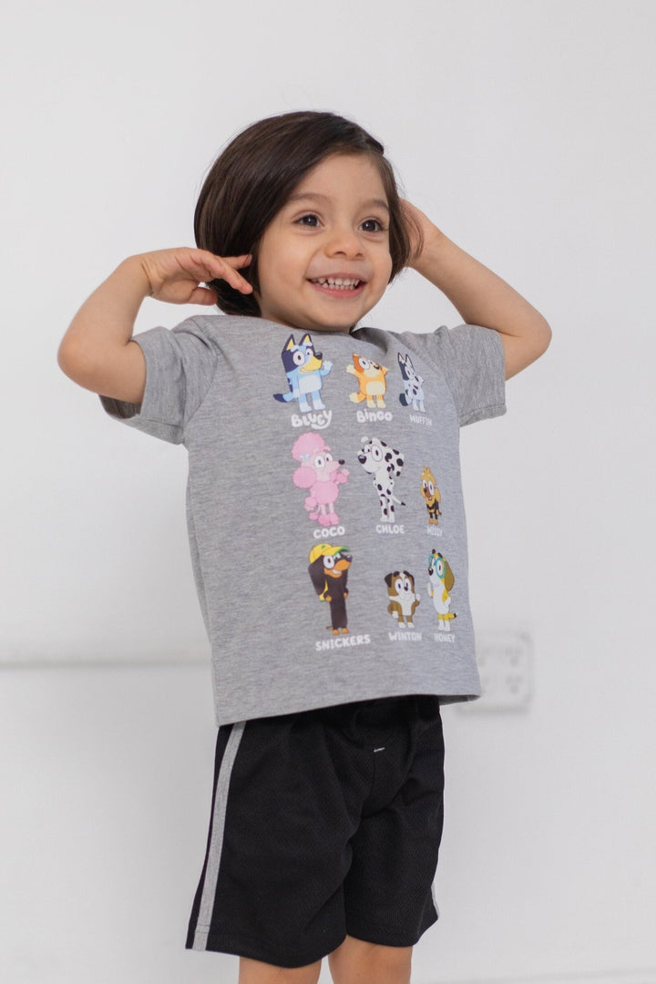 Bluey T-Shirt and Mesh Shorts Outfit Set - imagikids