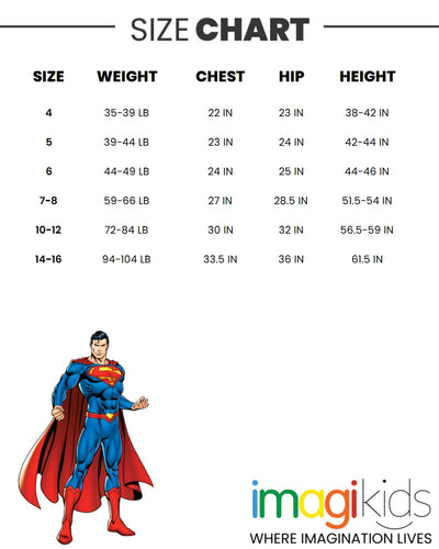 DC Comics Justice League 3 Pack Long Sleeve T-Shirts - imagikids