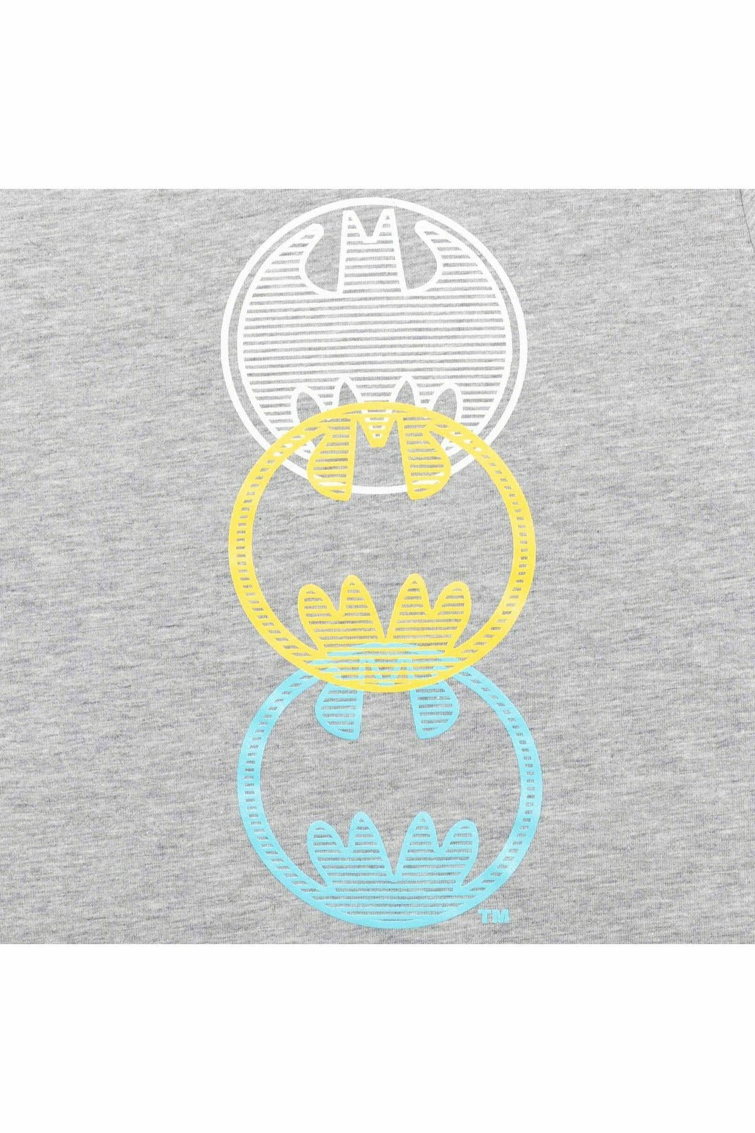 DC Comics Justice League Batman 2 Pack Graphic T-Shirt - imagikids