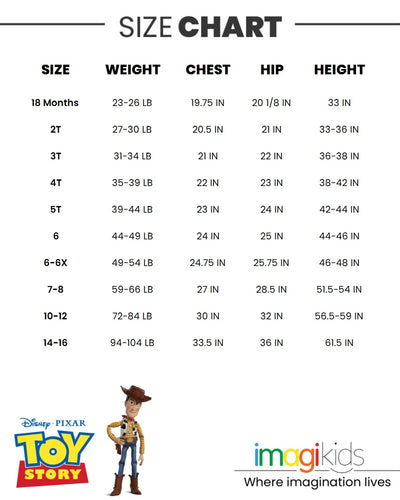 Disney Pixar Toy Story French Terry Skater Dress - imagikids