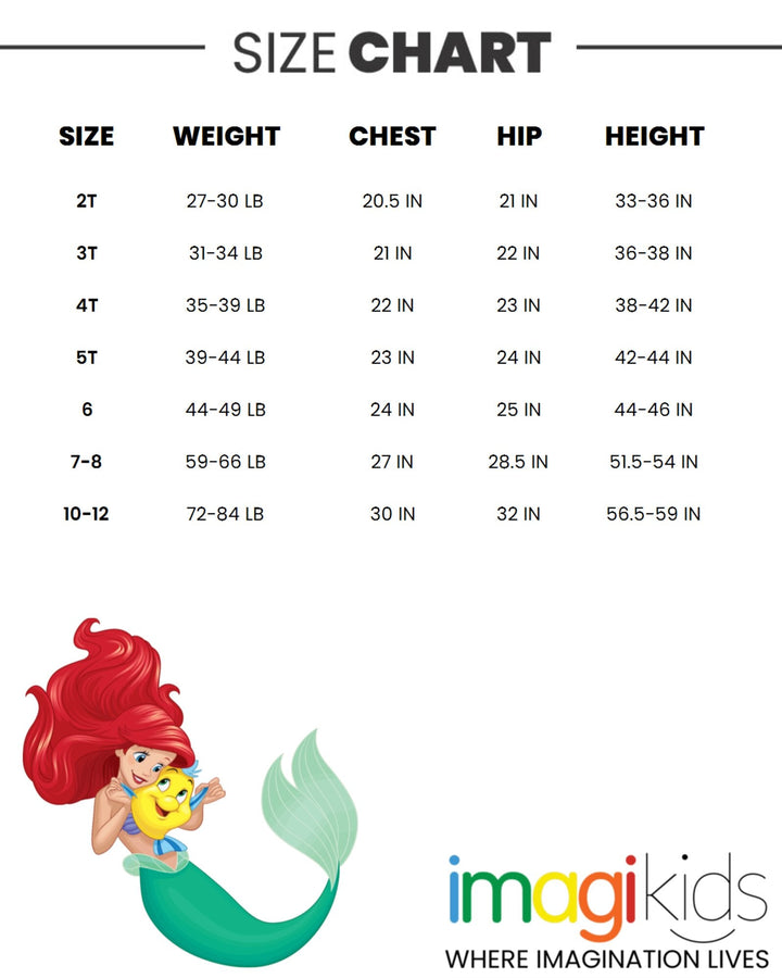 Disney Princess Ariel French Terry Dress - imagikids