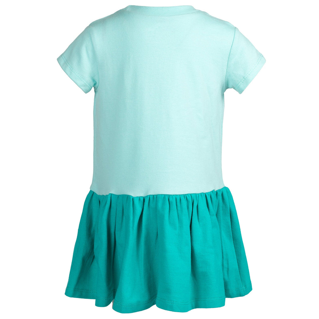 Disney Princess Jasmine French Terry Dress - imagikids