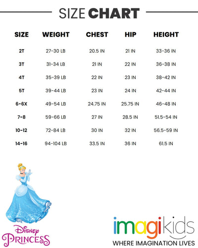 Disney Princess Princess Cinderella T-Shirt and French Terry Shorts Outfit Set - imagikids