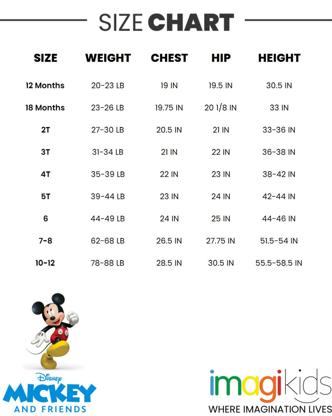 Disney Rash Guard and Swim Trunks Outfit Set - imagikids