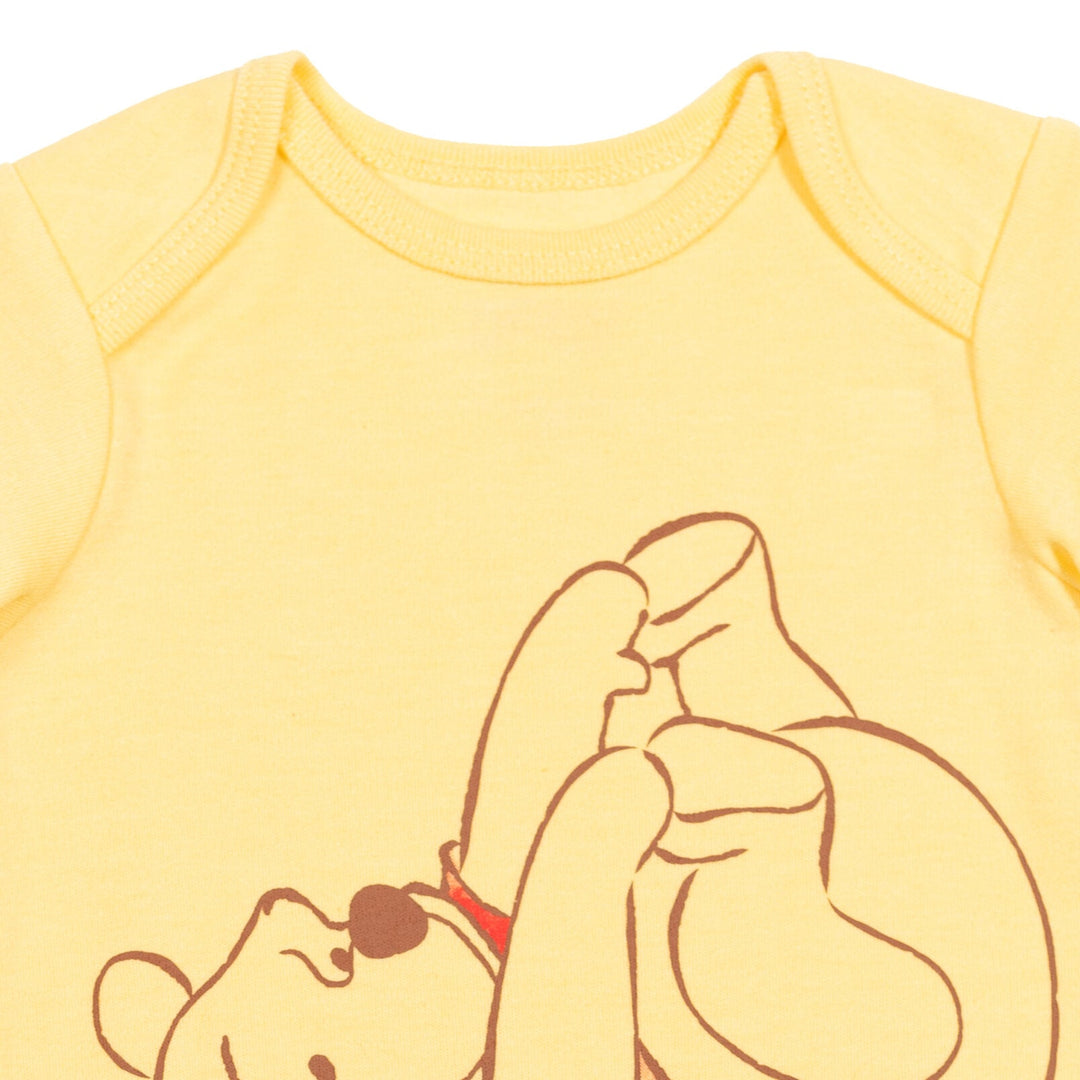 Disney Winnie the Pooh Sleeper Gown and Hat - imagikids