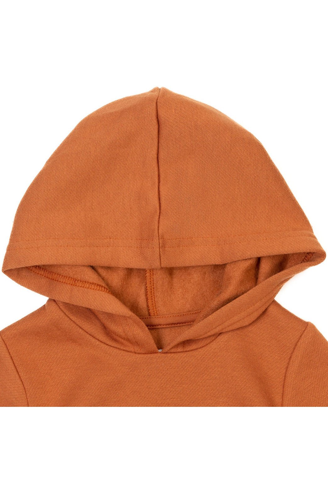 E.T. the Extra-Terrestrial Fleece Pullover Hoodie Infant to Toddler - imagikids