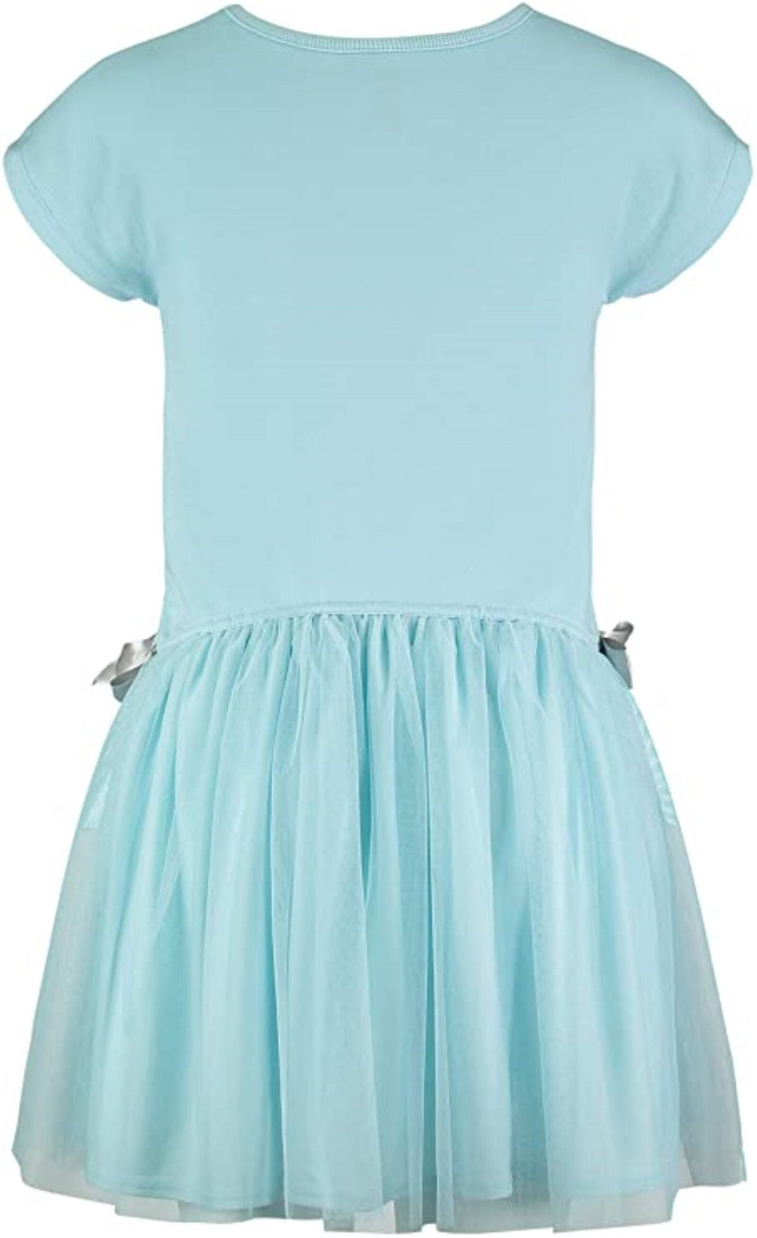 Frozen Queen Elsa Dress - imagikids