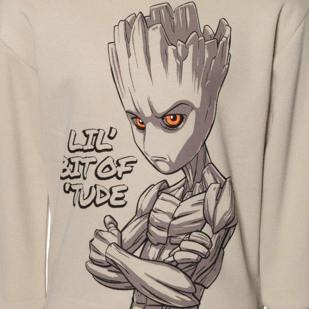 Guardians of the Galaxy Groot Fleece Pullover Hoodie - imagikids