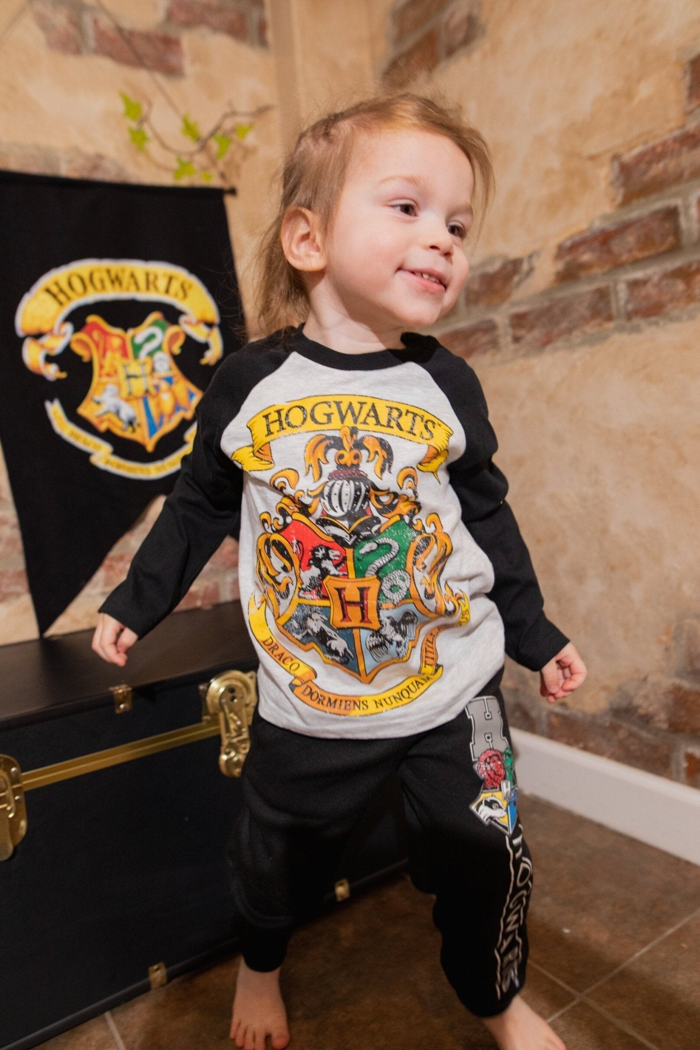 Harry Potter 2 Pack Long Sleeve Graphic T-Shirt - imagikids