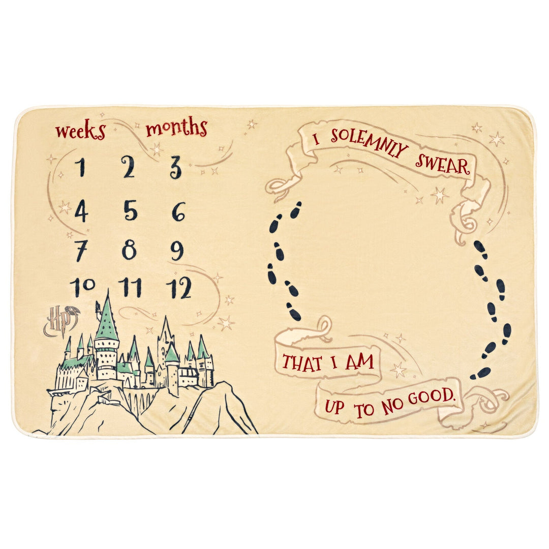 Harry Potter 4 Piece Monthly Milestone Gift Set - imagikids