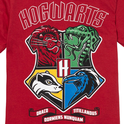 Harry Potter Graphic T-Shirt & Mesh Shorts - imagikids