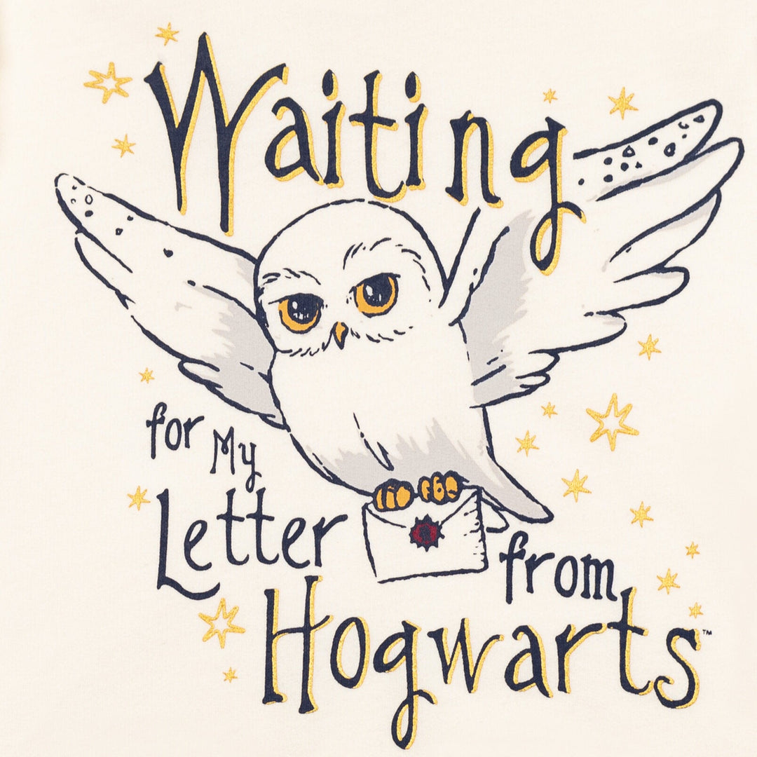 Harry Potter Hedwig French Terry Pullover Hoodie imagikids Baby