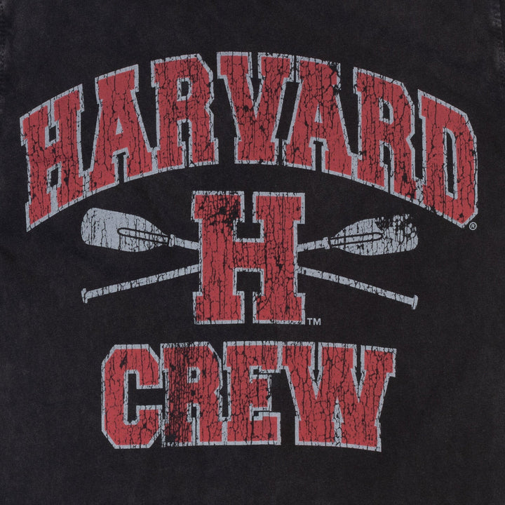 Harvard University 2 Pack Graphic T-Shirts - imagikids