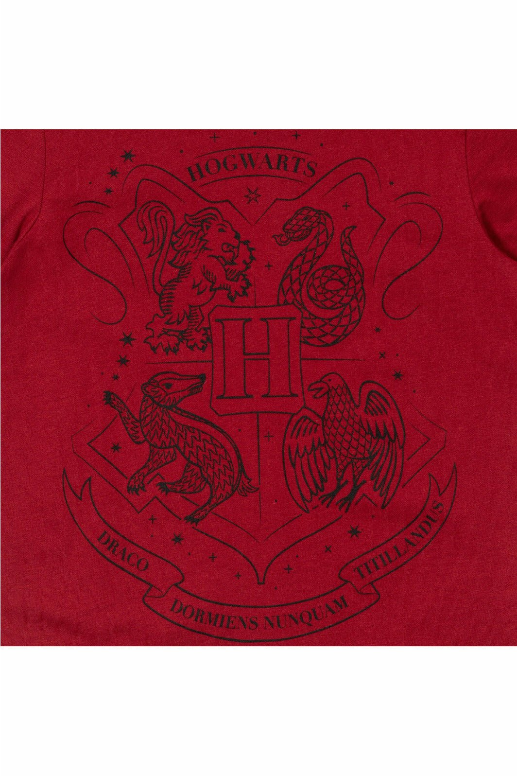 Hogwarts 2 Pack Graphic T-Shirts - imagikids