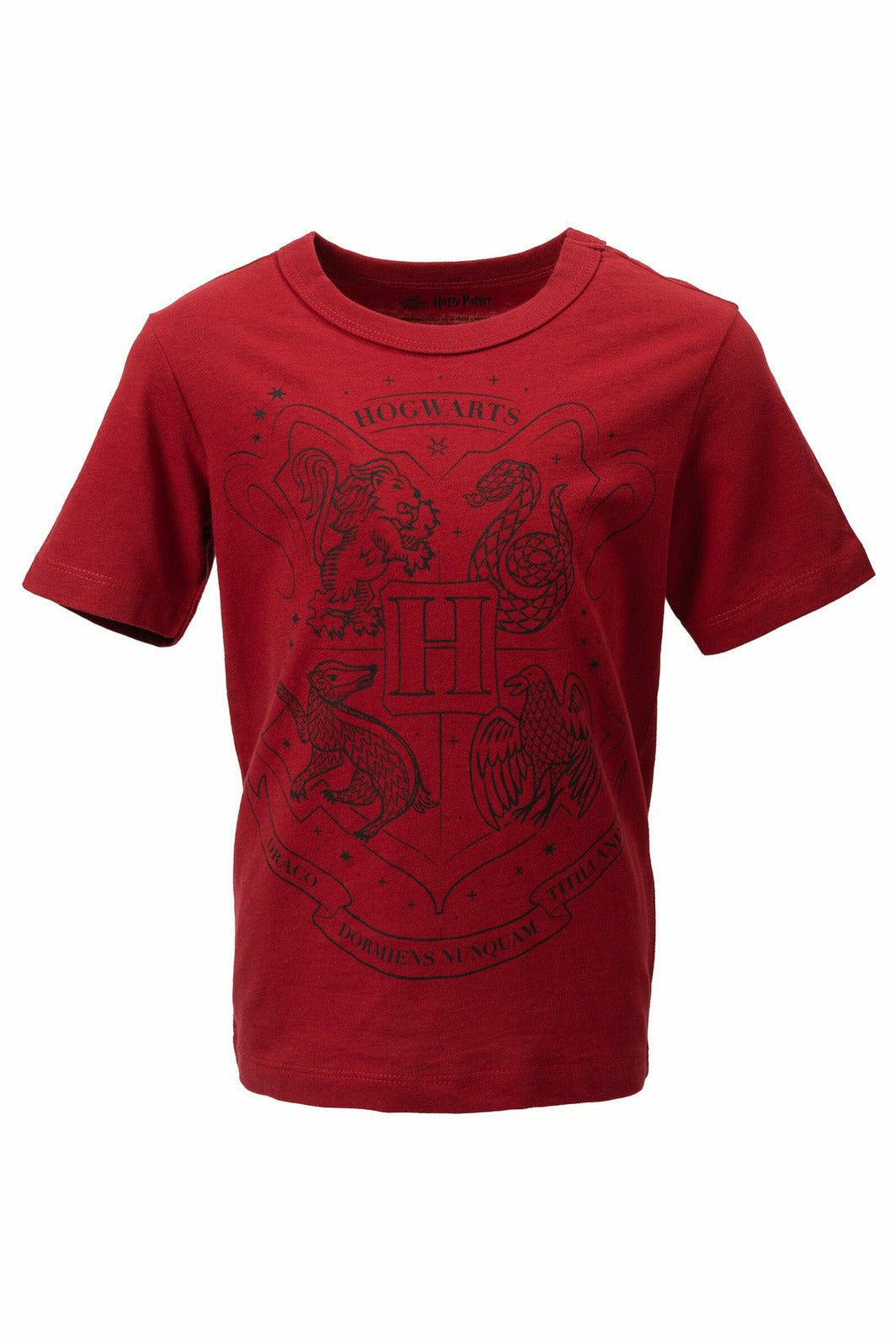 Hogwarts 2 Pack Graphic T-Shirts - imagikids