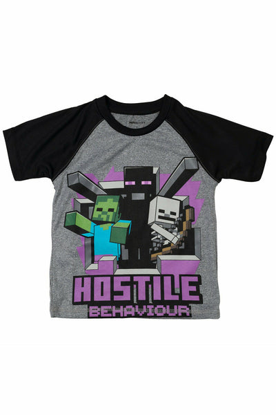 Minecraft 3 Pack Graphic T-Shirts
