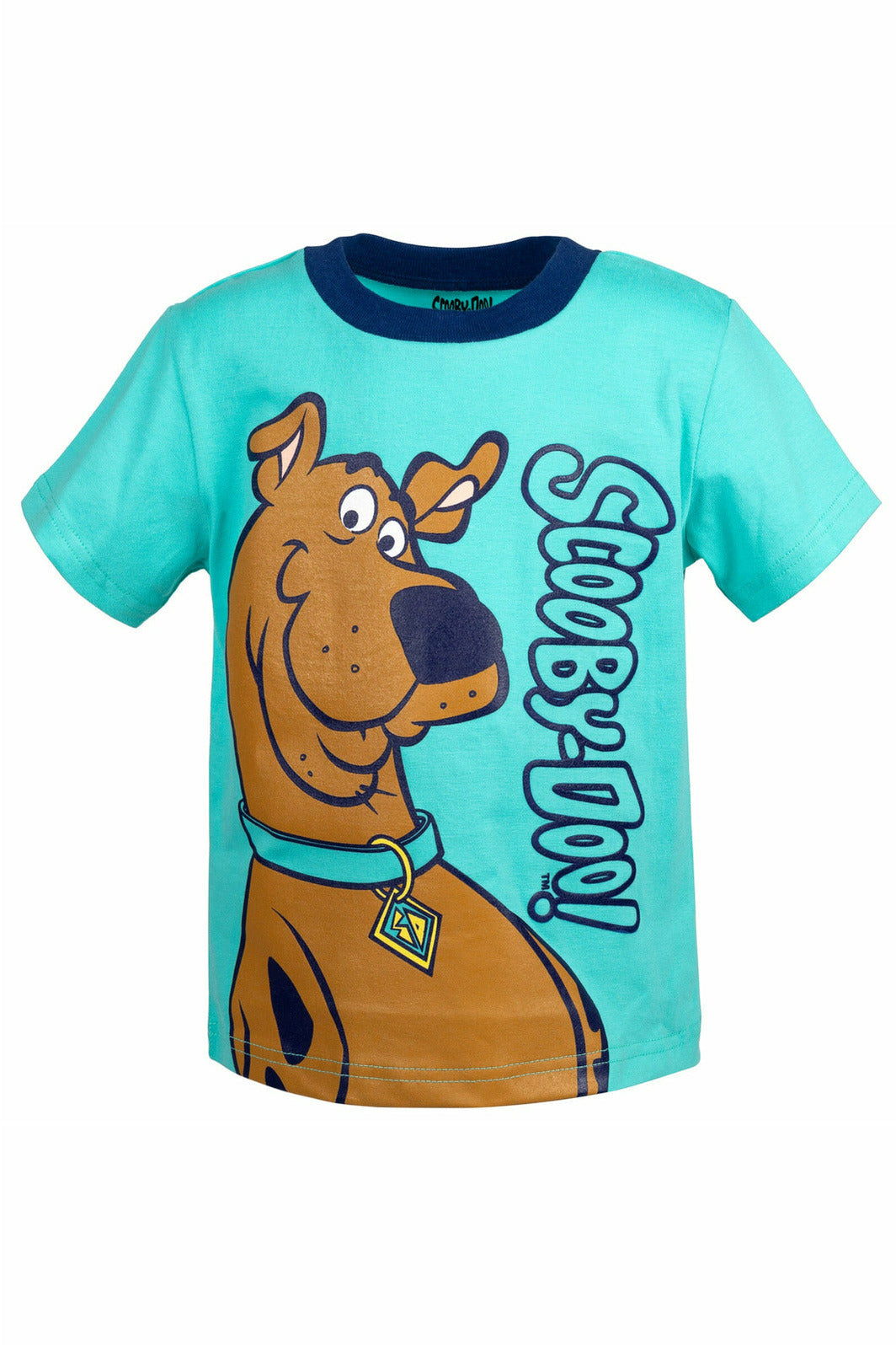 Warner Bros. Scooby Doo Graphic T-Shirt & French Terry Shorts