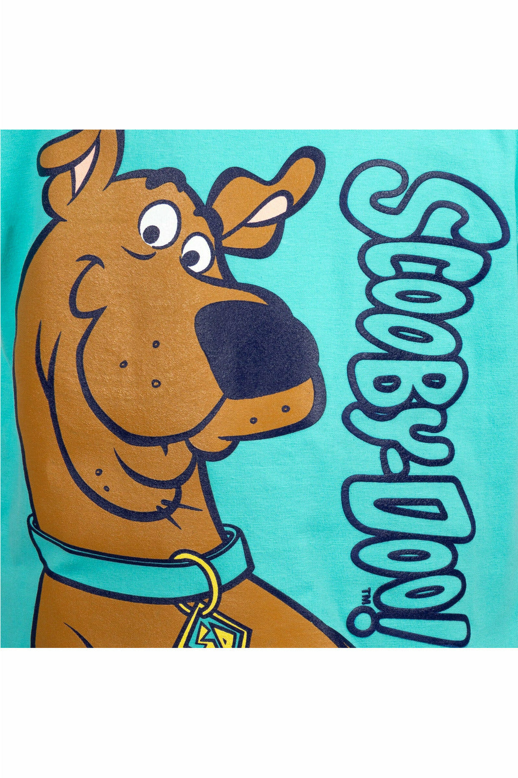 Warner Bros. Scooby Doo Graphic T-Shirt & French Terry Shorts
