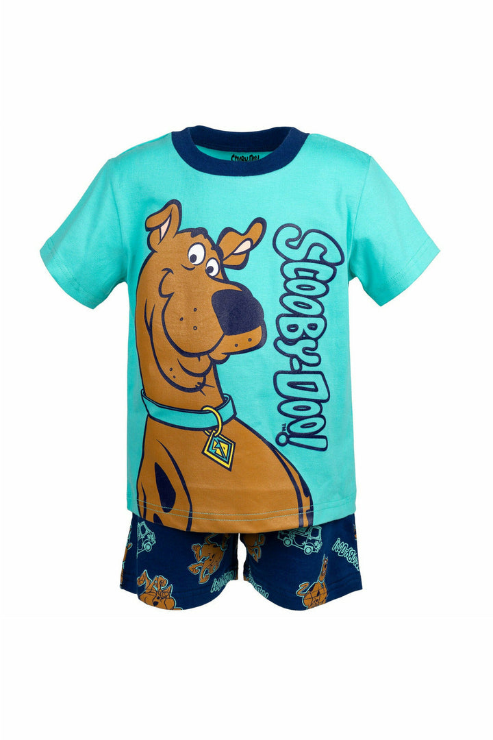 Warner Bros. Scooby Doo Graphic T-Shirt & French Terry Shorts