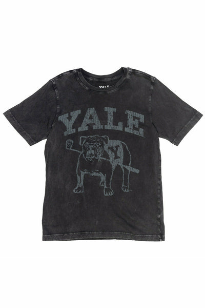 Yale University 2 Pack Graphic T-Shirts